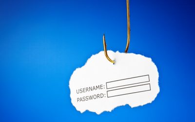 Is your company vulnerable to a phishing attack?
